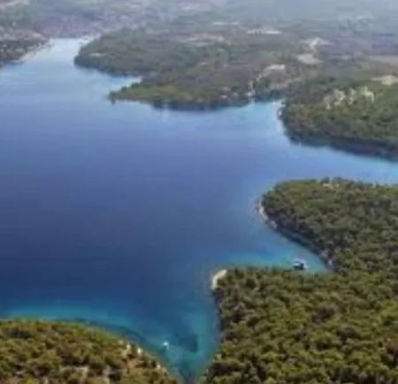 Apartment Galicija Milna (Brac)